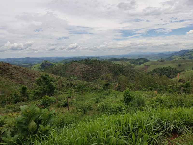 imóvel com 20000m² - Centro - Coronel Pacheco