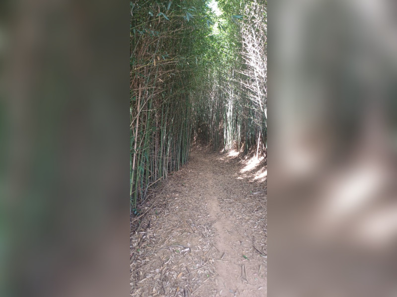 imóvel com 20000m² - Centro - Coronel Pacheco