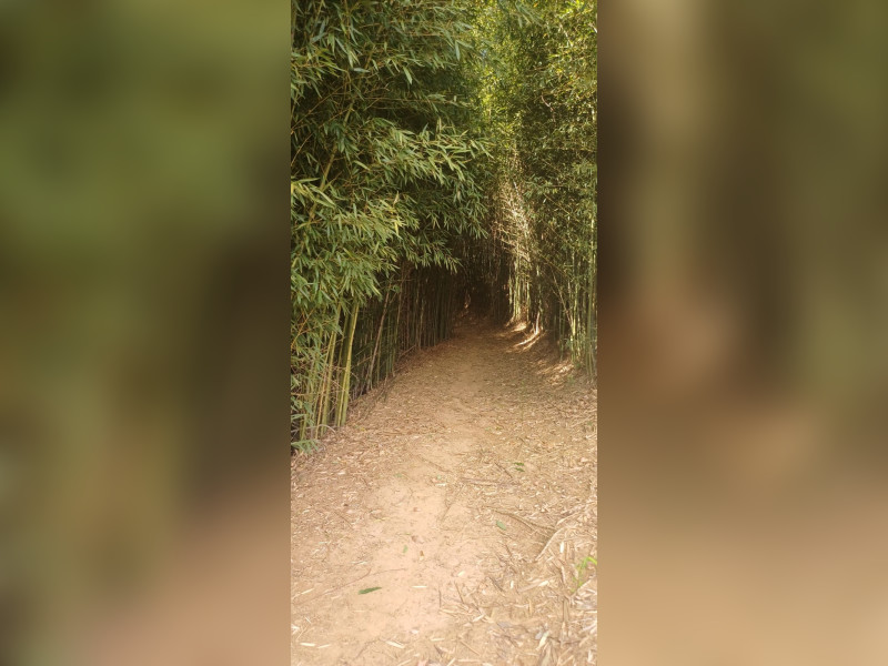 imóvel com 20000m² - Centro - Coronel Pacheco