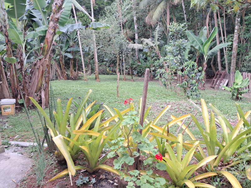 imóvel com 167m² - Jardim Angélica - Criciúma