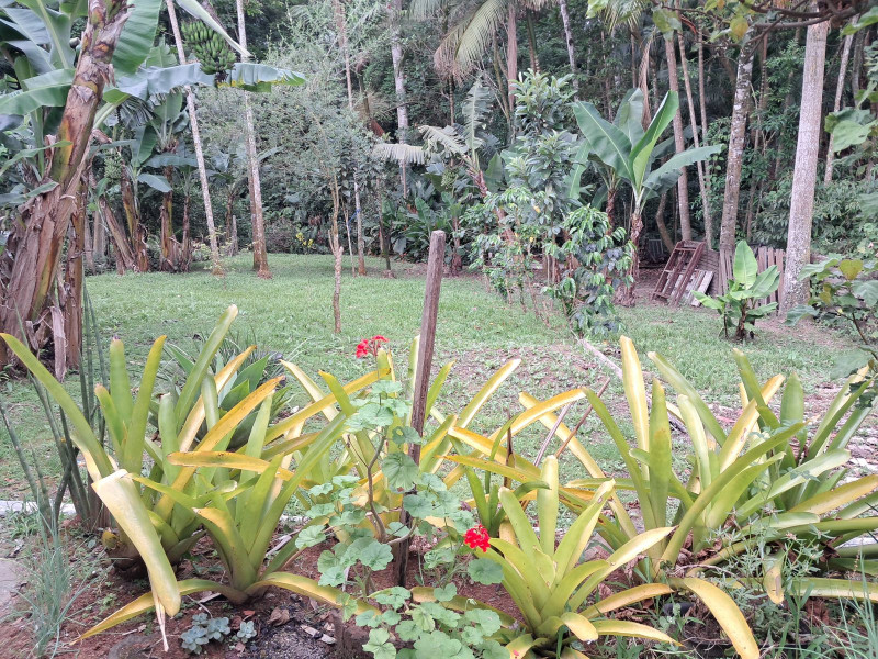 imóvel com 167m² - Jardim Angélica - Criciúma