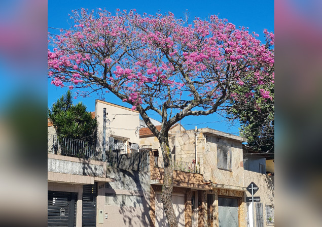 imóvel com 100m²