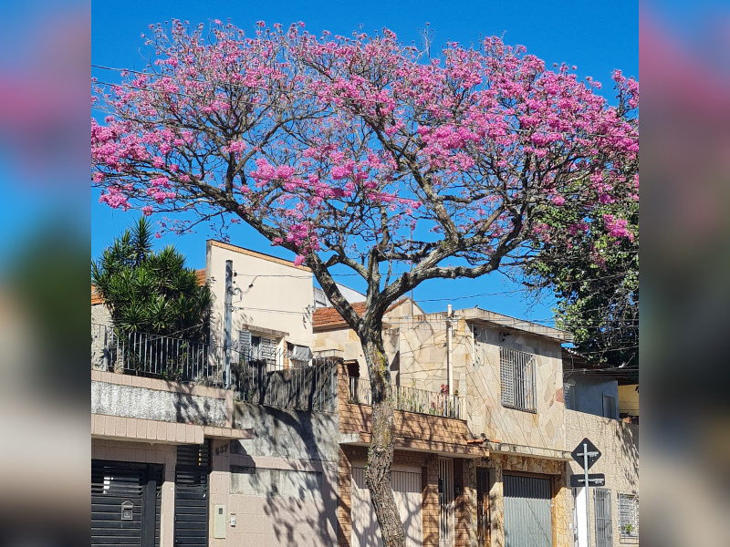 imóvel com 100m² - Centro - São Paulo