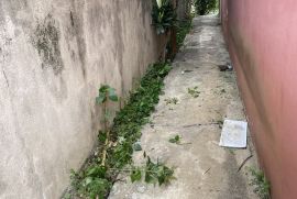 img-0511.jpeg