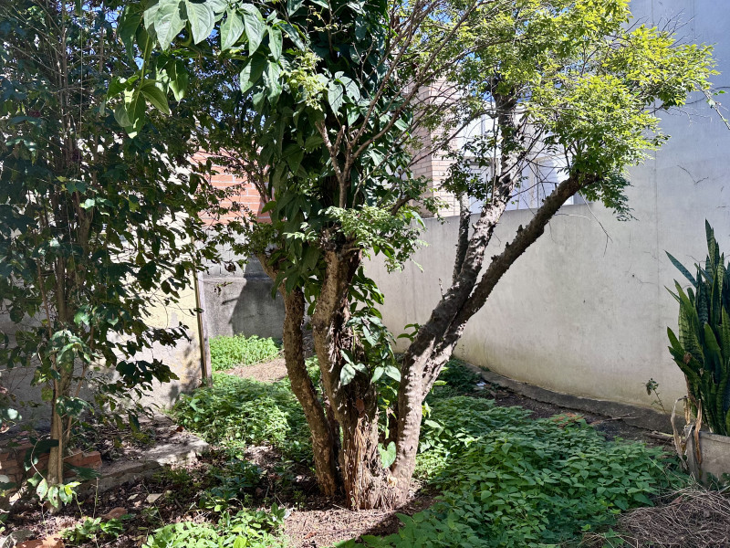 imóvel com 303m² - Vila Romero - São Paulo