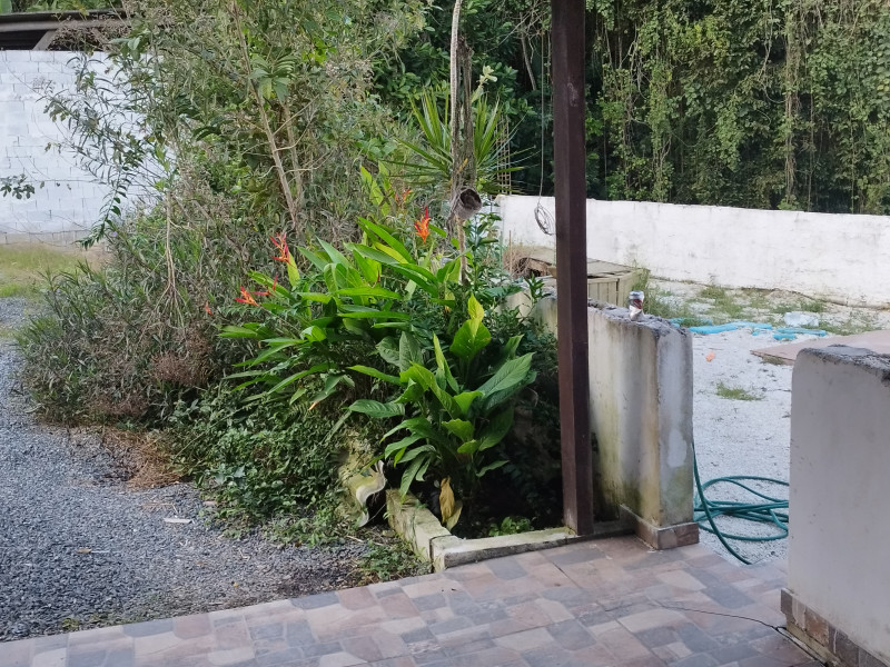 imóvel com 1500m² - Itoupava Norte - Blumenau