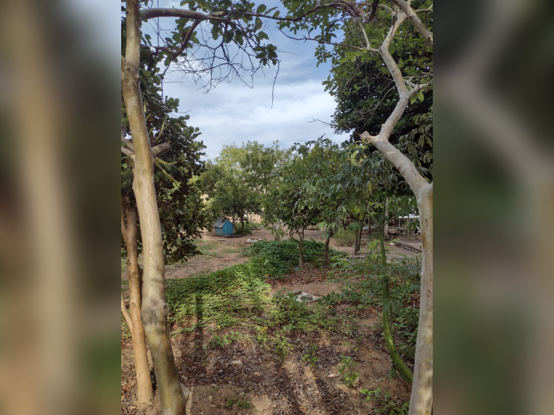 imóvel com 500m² - Juliana G Padilha - Camaquã