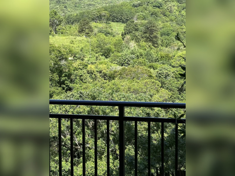 imóvel com 69m² - Itacorubi - Florianópolis