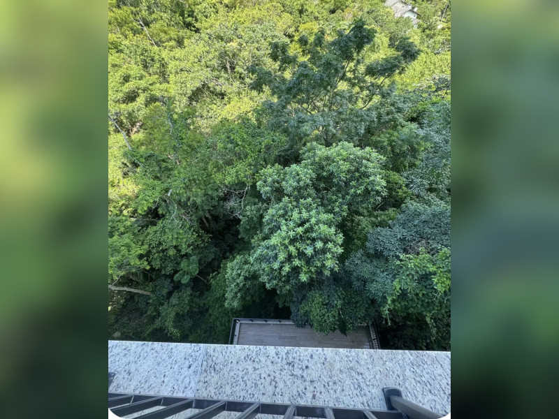 imóvel com 69m² - Itacorubi - Florianópolis