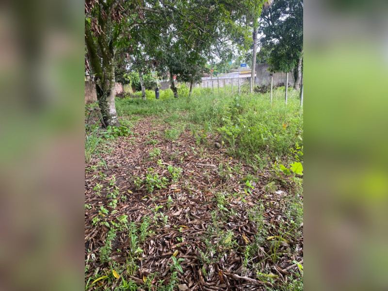 imóvel com 200m² - Vera Cruz - Camaragibe