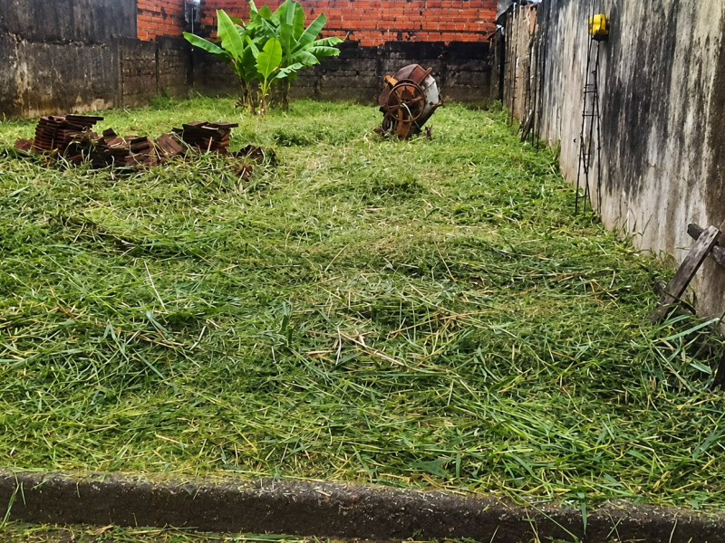 imóvel com 250m² - Ipiranga - Ribeirão Preto