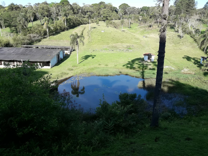 imóvel com 22250m² - Parque Boa Vista - Embu-Guaçu