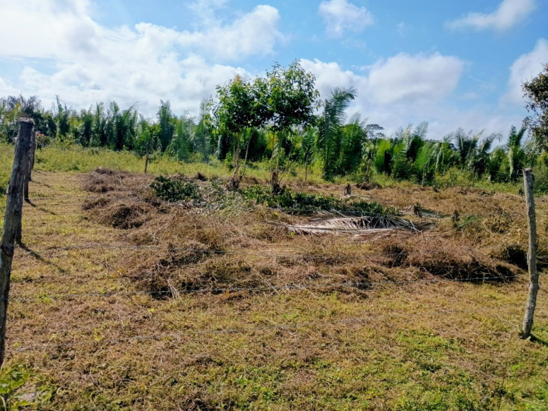 imóvel com 432m² - Centro - Pinheiro