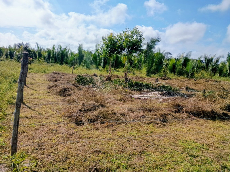 imóvel com 432m² - Centro - Pinheiro
