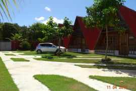 dsc00784.JPG