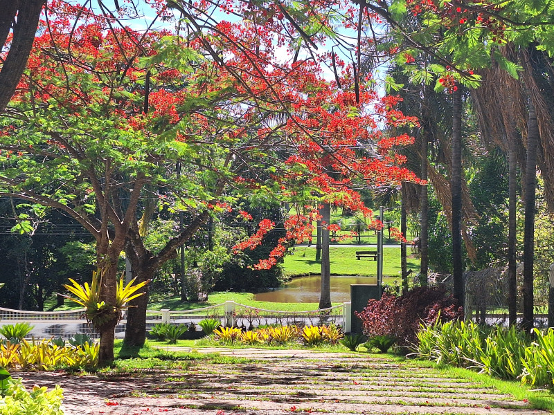 imóvel com 5400m² - Morada do Sol - Uberlândia