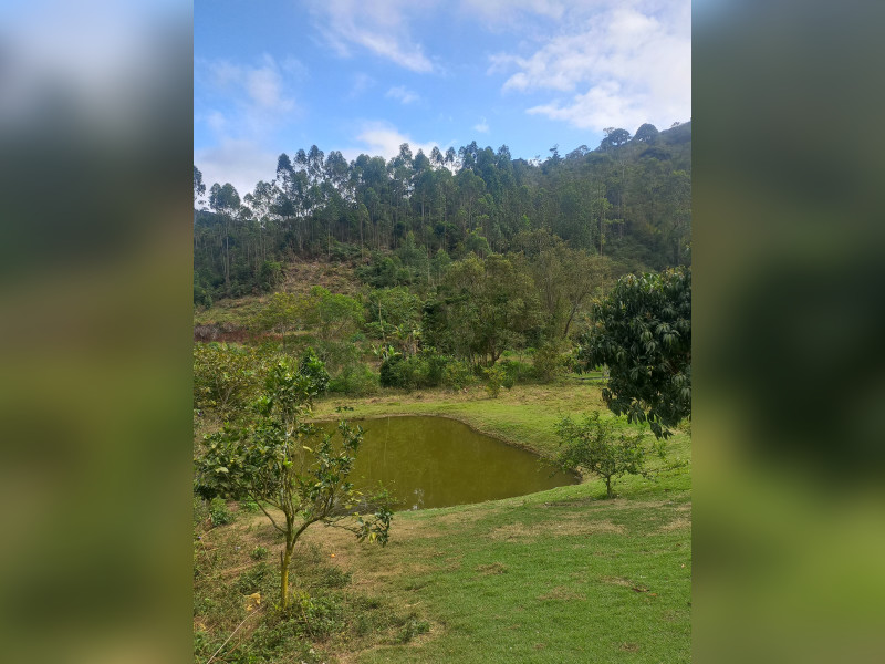 imóvel com 3000m² - Centro - Santa Leopoldina