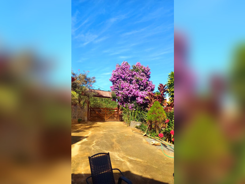 imóvel com 3000m² - Centro - Santa Leopoldina