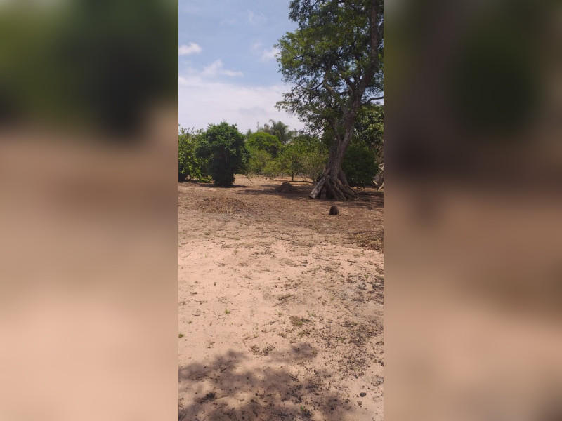 imóvel com 2000m² - Centro - Itirapina