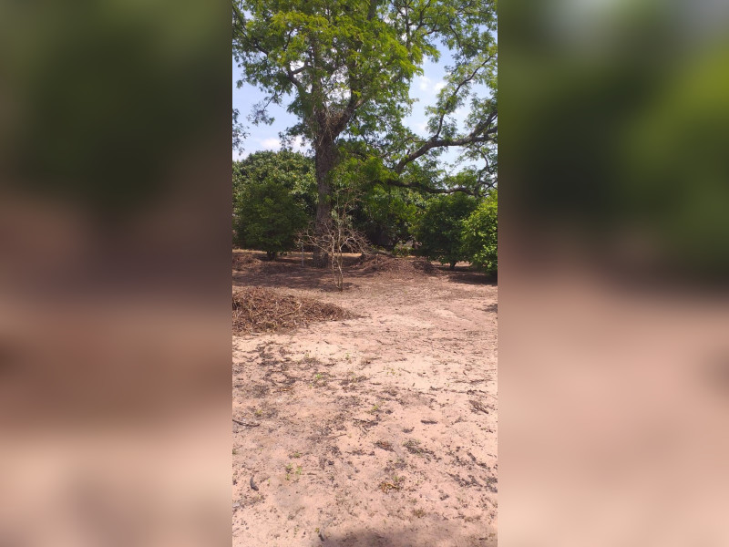 imóvel com 2000m² - Centro - Itirapina