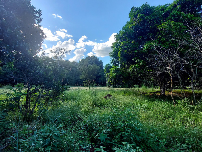 imóvel com 4000m² - Setor San Diego - Goianira