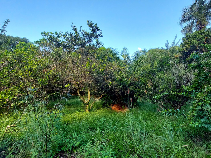 imóvel com 4000m² - Setor San Diego - Goianira