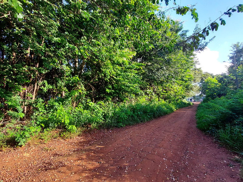 imóvel com 4000m² - Setor San Diego - Goianira