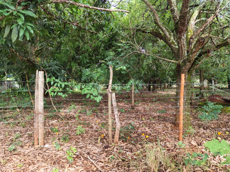 imóvel com 4000m² - Setor San Diego - Goianira