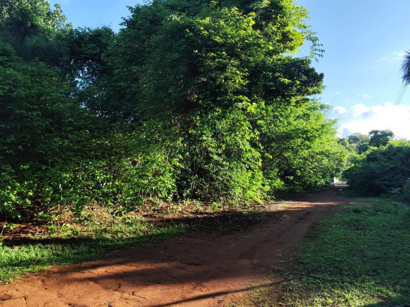 imóvel com 4000m² - Setor San Diego - Goianira