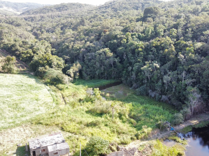 imóvel com 1000m² - Vila Élvio - Piedade