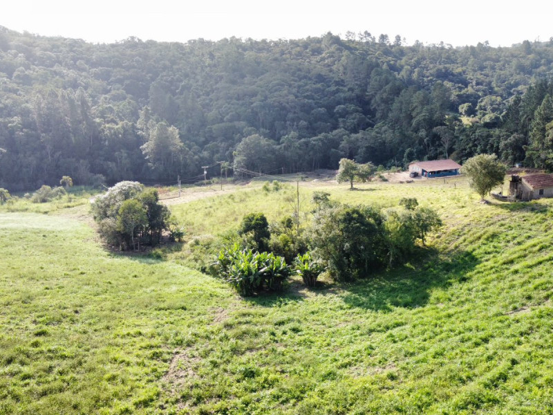 imóvel com 1000m² - Vila Élvio - Piedade