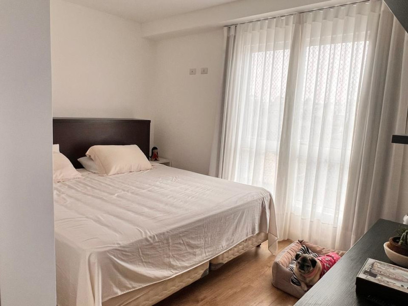 imóvel com 221m² - Tingui - Curitiba