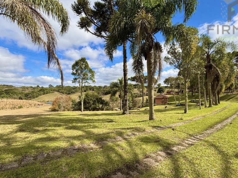 imóvel com 450000m² - Centro - Piraquara