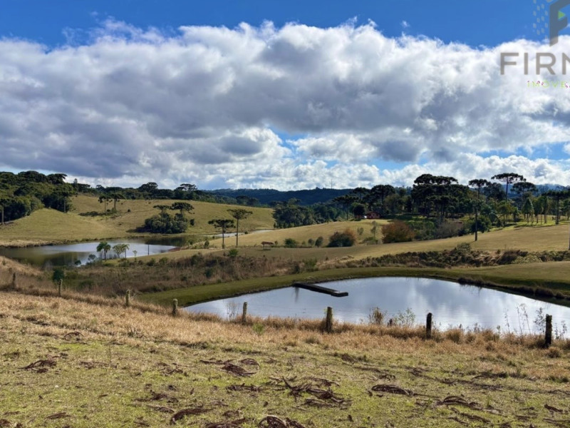 imóvel com 450000m² - Centro - Piraquara