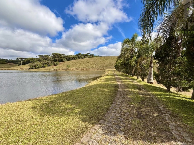 imóvel com 450000m² - Centro - Piraquara