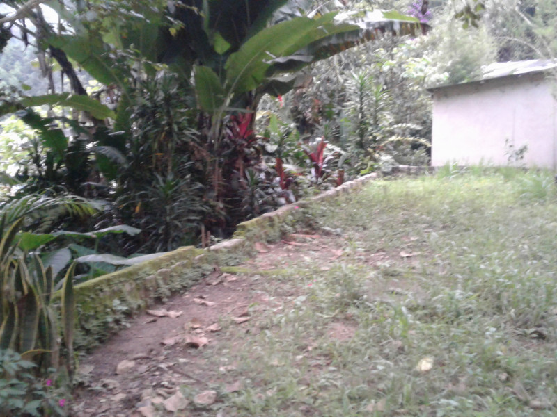 imóvel com 1000m² - Cidade Recreio da Borda do Campo - Santo André