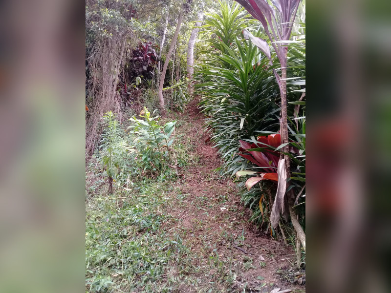 imóvel com 1000m² - Cidade Recreio da Borda do Campo - Santo André