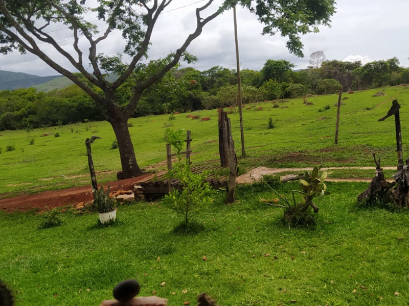 imóvel com 60000m² - Centro - Luziania