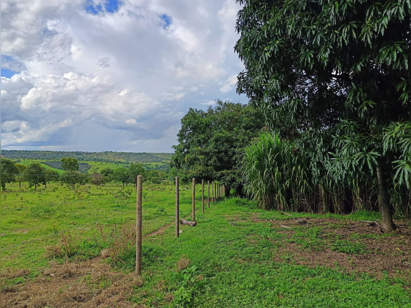 imóvel com 60000m² - Centro - Luziania