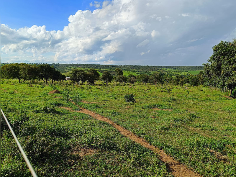 imóvel com 60000m² - Centro - Luziania