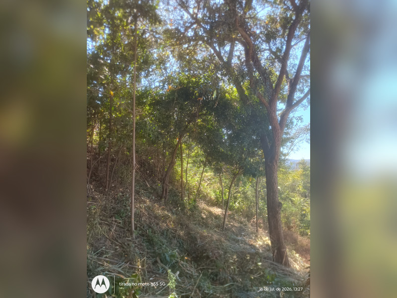 imóvel com 918m² - Jardim Colonial - Ribeirão das Neves