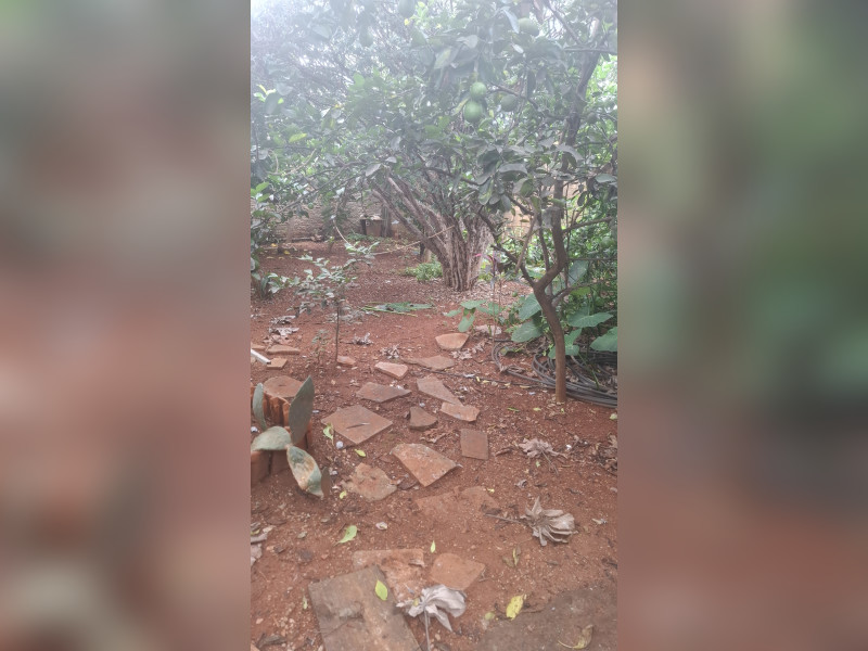 imóvel com 214m² - Jardim Planalto - Goiânia
