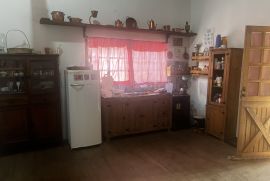 img-6424.jpeg
