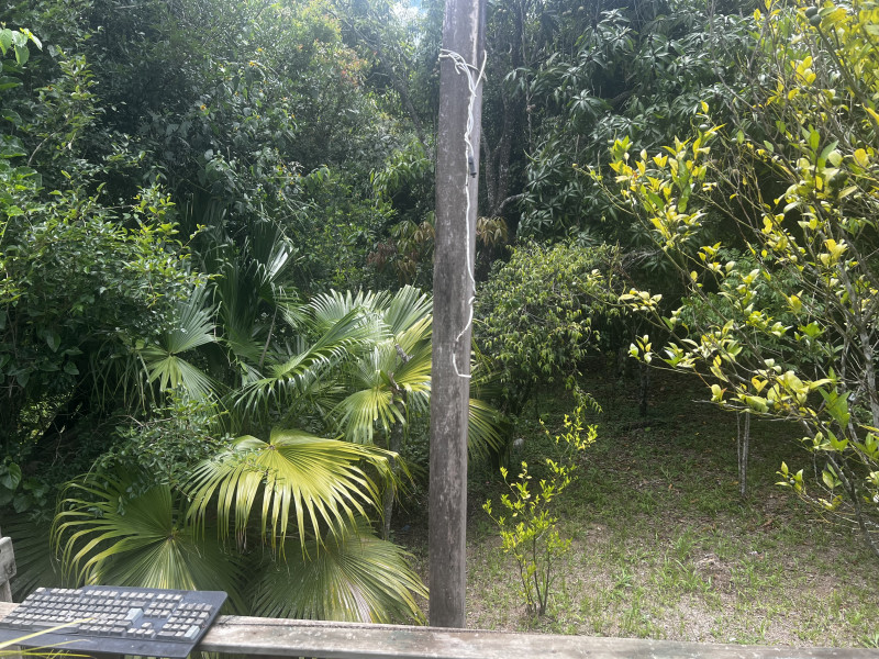 imóvel com 300m² - Loteamento Bosque dos Palmares - Atibaia