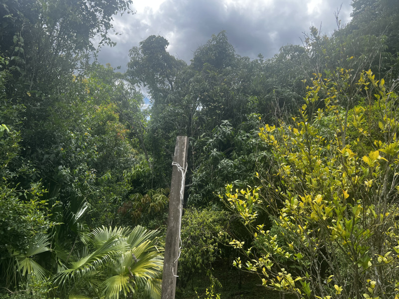 imóvel com 300m² - Loteamento Bosque dos Palmares - Atibaia