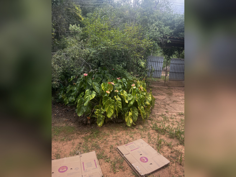 imóvel com 300m² - Loteamento Bosque dos Palmares - Atibaia