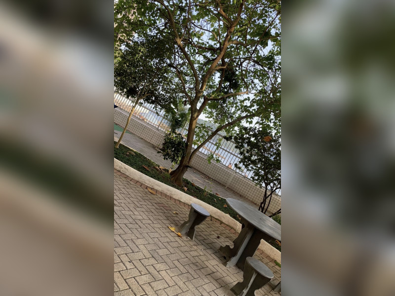 imóvel com 22m² - Itararé - São Vicente