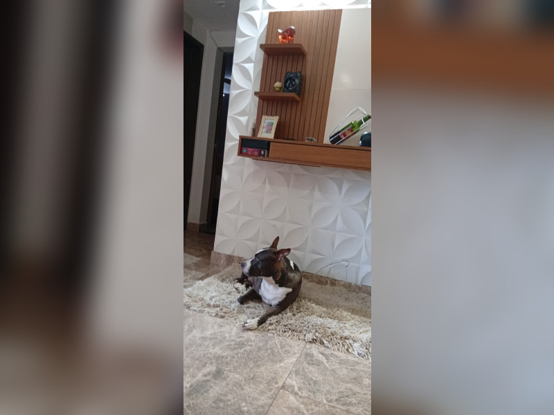 imóvel com 47m² - Samambaia Norte - Brasília