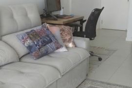 sofa-2.jpg