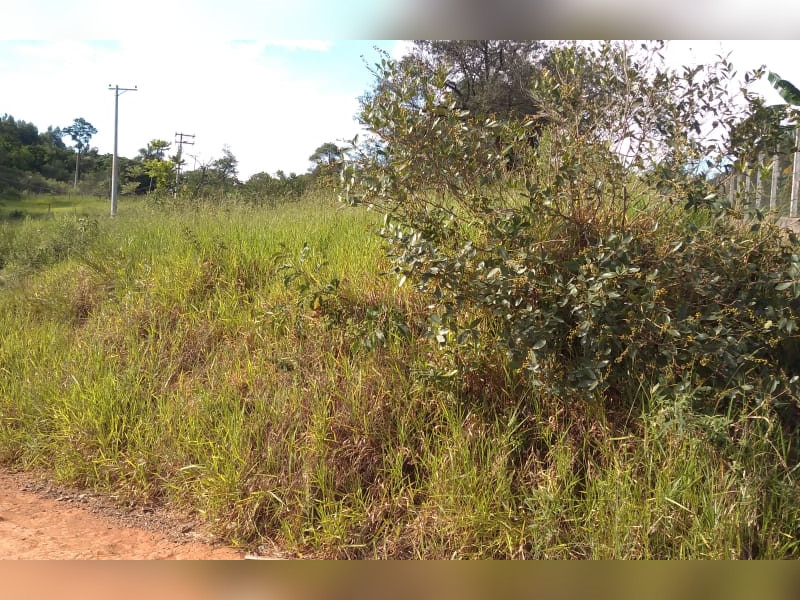 imóvel com 1023m² - Centro - Salto de Pirapora